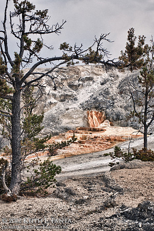 Mound Spring, Mammoth Hot Springs