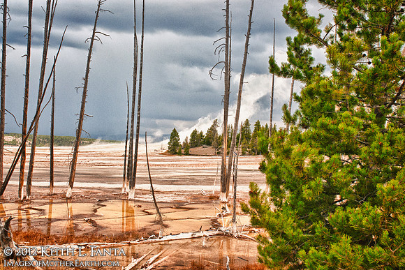 Lower Geyser Basin