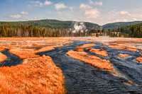 Tangled Creek