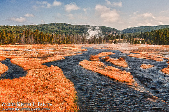 Tangled Creek