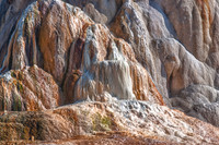 Orange Spring Curtain