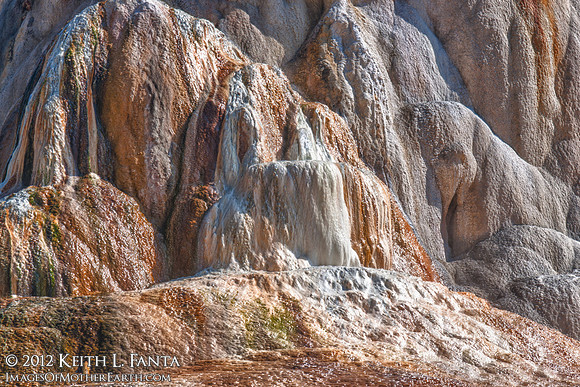 Orange Spring Curtain