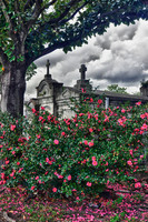 Lafayette Cemetery No. 1