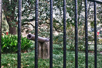 Jackson Square Cannon