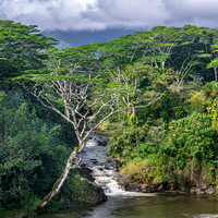 Waterfall, name unkown, Kapa'a HI