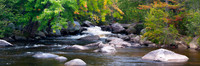 Fall Color Panoramas